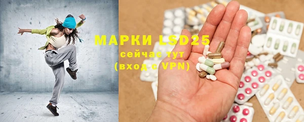 шишки Алексин