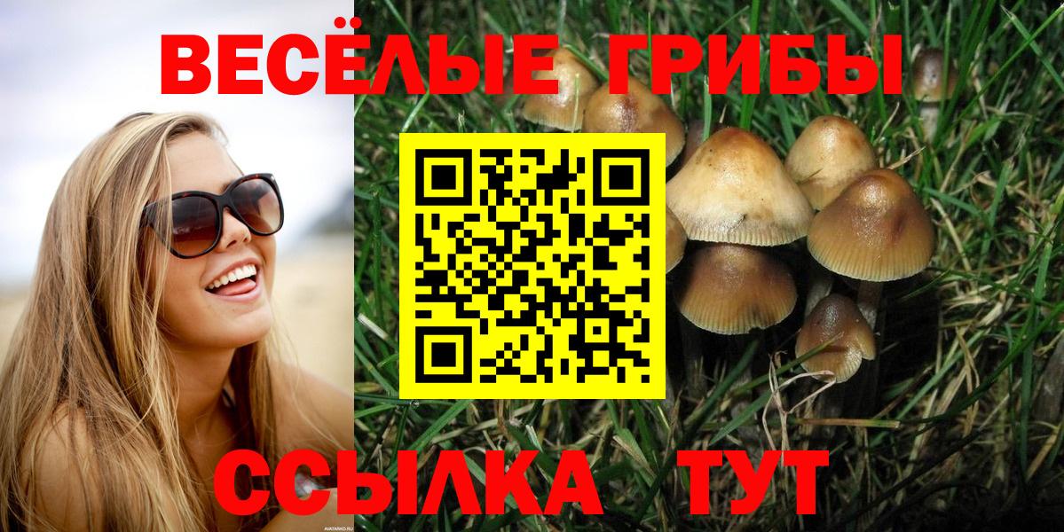 Галлюциногенные грибы GOLDEN TEACHER Амурск