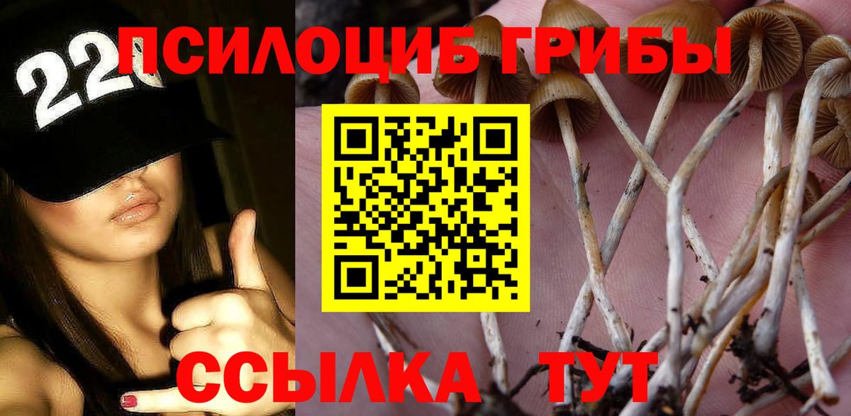 Амурск  Псилоцибиновые грибы MAGIC MUSHROOMS  Вход с VPN 